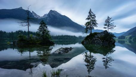 Pine trees on a small island wallpaper