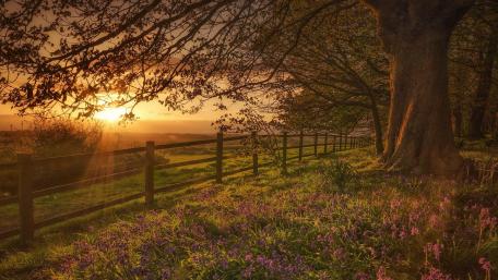 Countryside sunset wallpaper