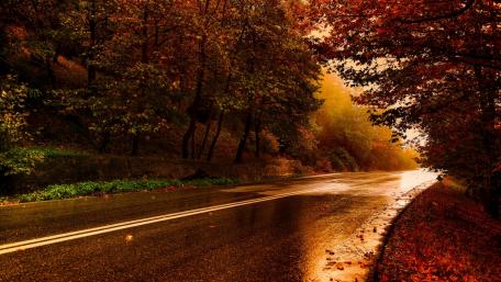 Wet asphalt after the rain wallpaper