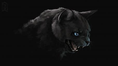 Black cat wallpaper