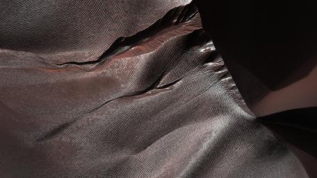 Textured Elegance in Shades of Brown wallpaper