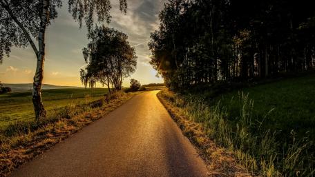 Bending road along the forest wallpaper