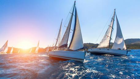 Sailing regatta wallpaper