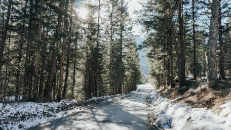 Winter sunlight wallpaper