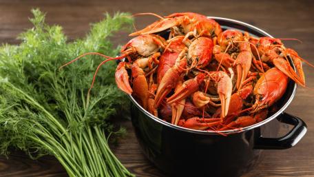 Seafood wallpaper