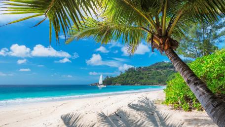 White sandy beach wallpaper