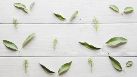 Serene Leaf Arrangement on Wooden Surface wallpaper
