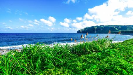 Seaside Beauty wallpaper