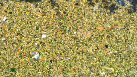 Gentle Water Over Colorful Stones and Gravel wallpaper