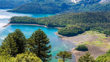 Conguillío National Park (Chile) wallpaper