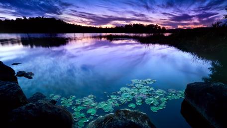 Queensland nature reflection wallpaper