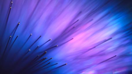 Fiber close up wallpaper