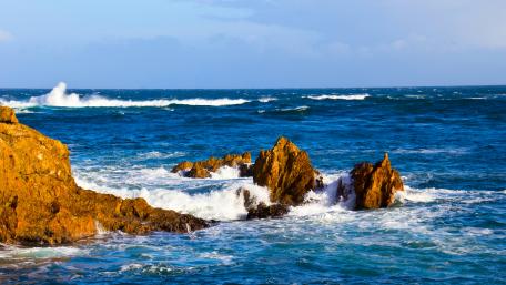 Wavy sea wallpaper