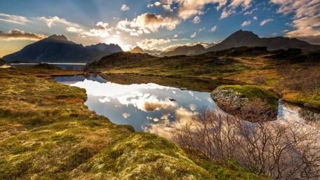 Sky reflected in a pond wallpaper