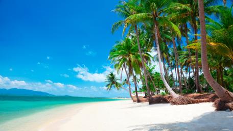 Exotic white sandy beach wallpaper