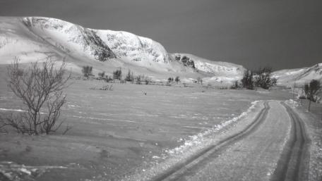 Snowy road wallpaper