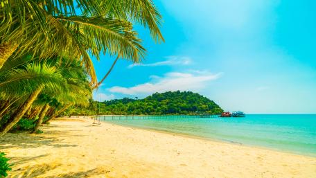Exotic beach in Anse Lazio wallpaper
