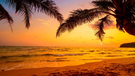 Tropical sunset wallpaper