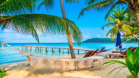 Hammock on the beach wallpaper