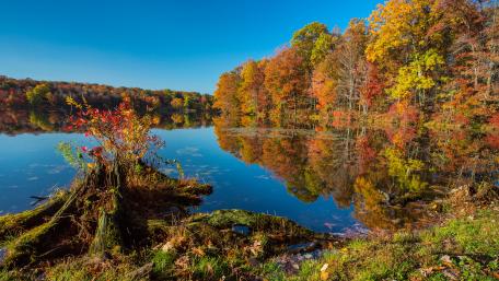 Colorful autumn wallpaper