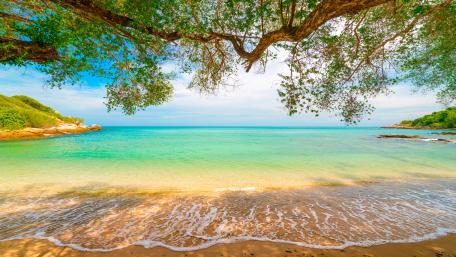 Tropical lagoon wallpaper