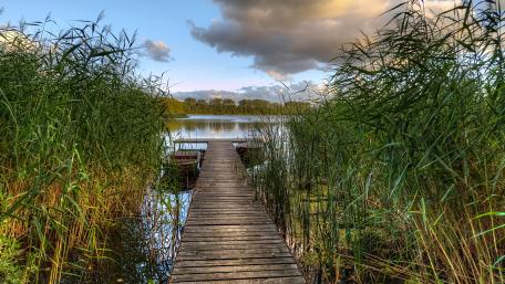 Pier in the reeds wallpaper