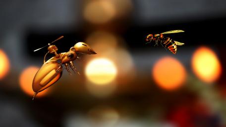 Pollinator drone wallpaper