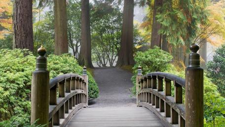 Footbridge in Portland Japanese Garden wallpaper