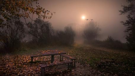 Benches and a small table in the dust wallpaper