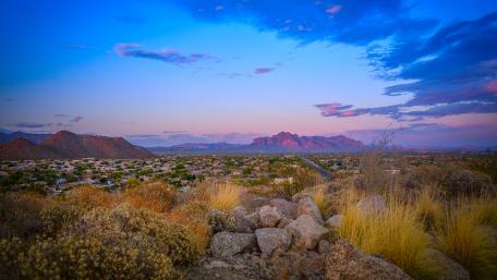 Shrubland landscape wallpaper