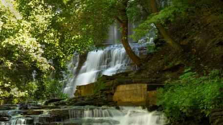 Waterfall behind the trees wallpaper