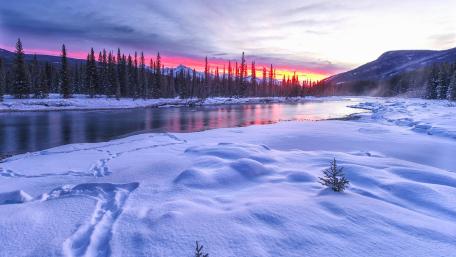 River in winter wallpaper