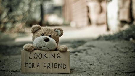 Looking for a friend wallpaper