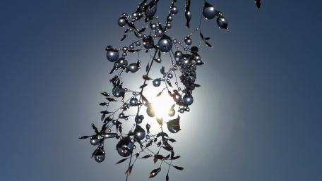 Waterdrop on the plant wallpaper