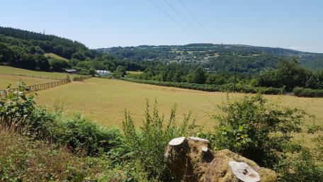 Tamar Valley wallpaper