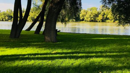 Danube bend at summer wallpaper