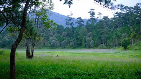 Tuyen Lam Lake at rain season wallpaper