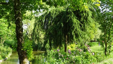 Green summer park wallpaper