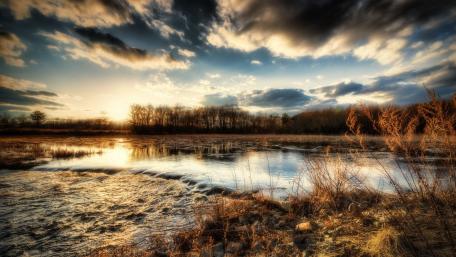 Serene Dawn Over Wetlands wallpaper
