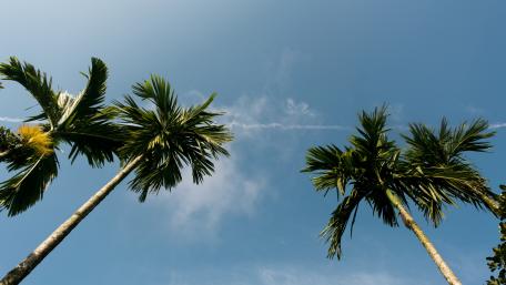 High on sky wallpaper