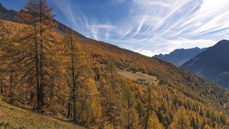Golden Autumn in Majestic Mountains wallpaper