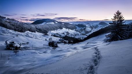 Blue winter dawn wallpaper