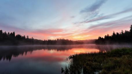 Tranquil Dawn at the Lake wallpaper