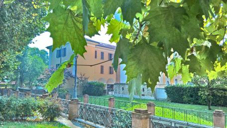 Urban Oasis in Greenery wallpaper
