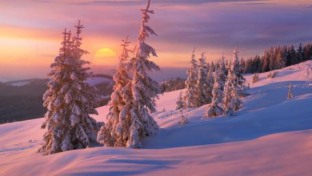 Winter sunrise wallpaper