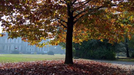Autumn Harmony in Nature's Embrace wallpaper