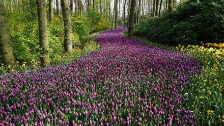 Springtime! wallpaper