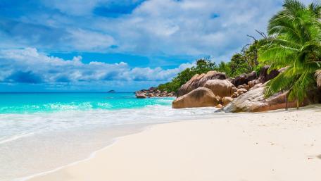 Tropical sandy beach wallpaper