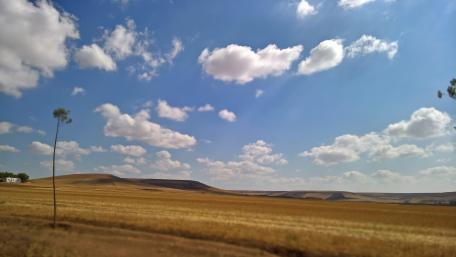Serene Landscape Under Blue Skies with Fluffy Clouds wallpaper