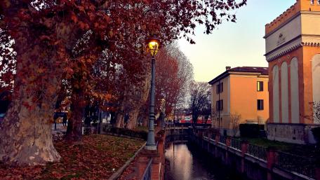 Autumn Serenity in the City Lights wallpaper